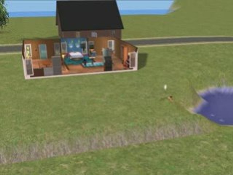 Sim qui nage au sol