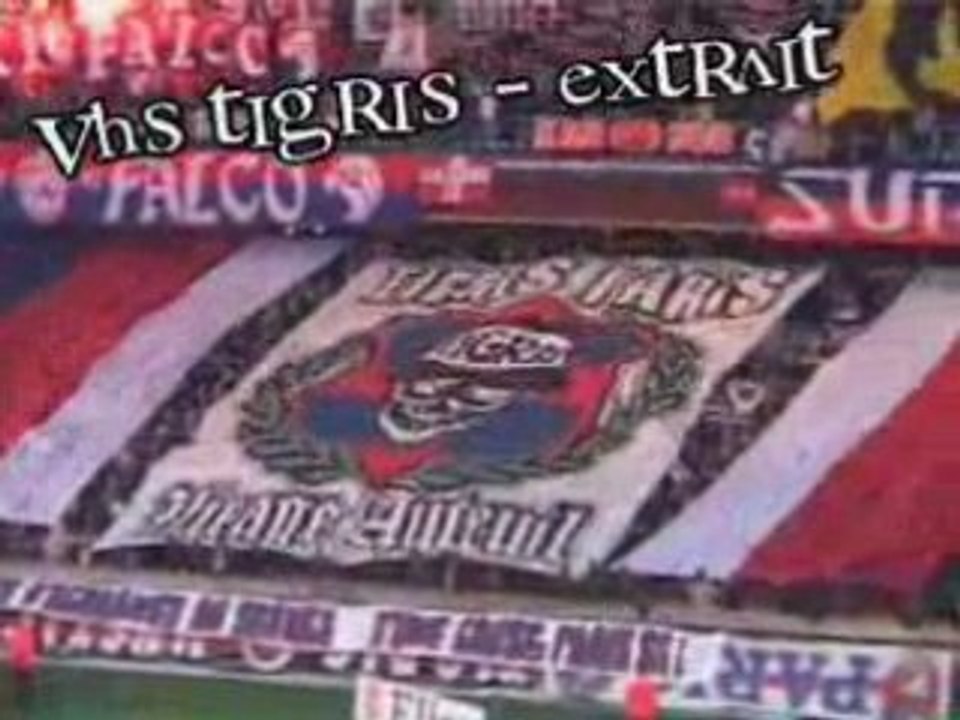 Tigris_Supporters_Ultras_Virage Auteuil_PSG
