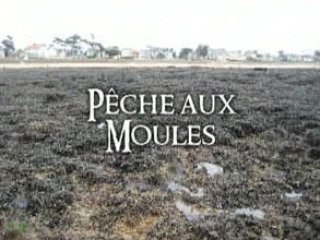 Peche aux moules