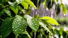 Nature beauty