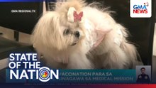 Free rabies vaccination sa furbabies | SONA