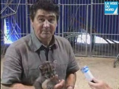 Kid Bauer : charmeur de fauves