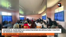 Leandro N. Alem impulsa capacitaciones en apicultura y cultivo de hongos comestibles