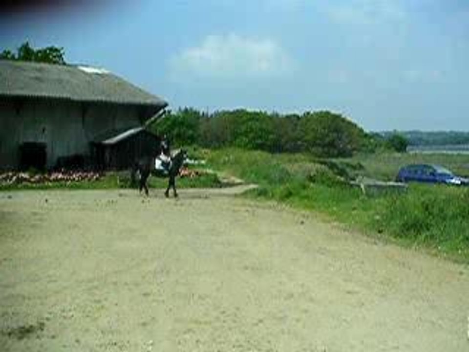 PICT0261
