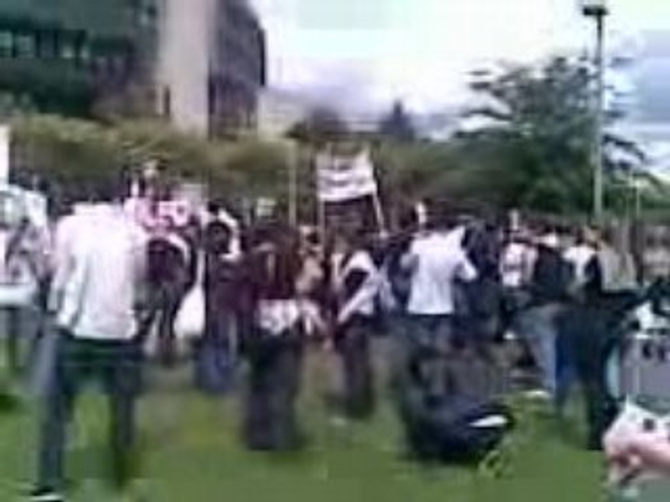 düsseldorf kartvelebi