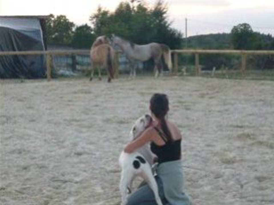 Pash et Pilou galop 2