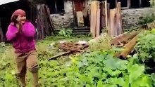 ssstwitter.com_1790623461215.mp4