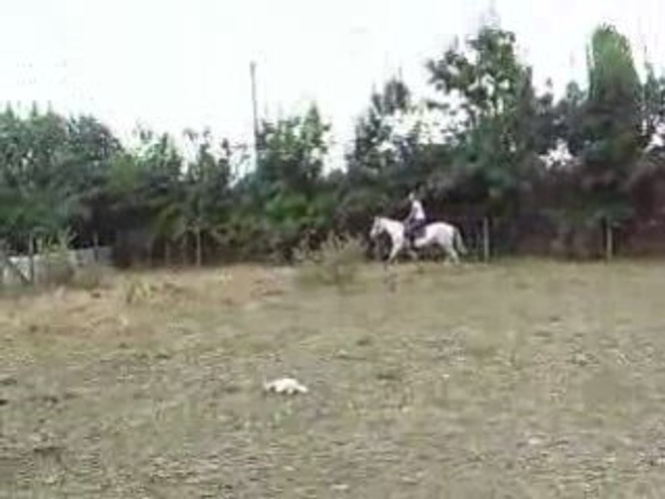 paola et ça cop