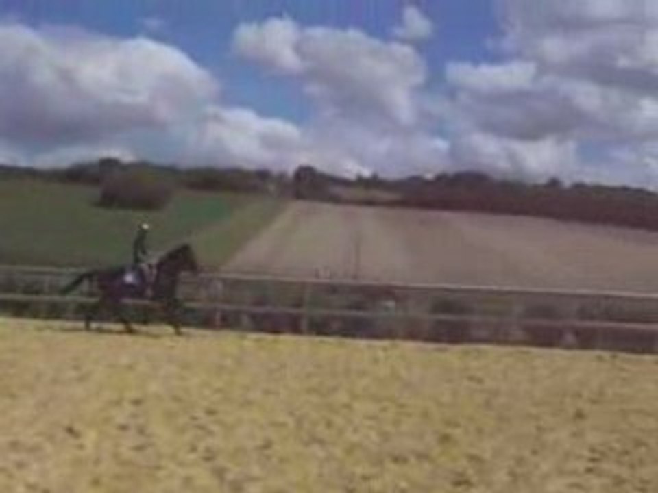 Cercle au galop à droite