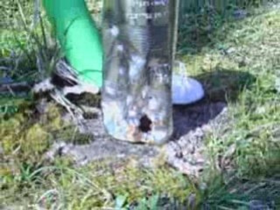 Histoires Naturelles