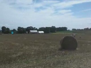 cerf volant 10-08-2008 - 2