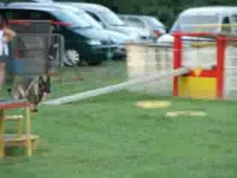 Photo 031