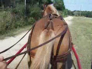 pirate attelage 1ère sortie exterieur