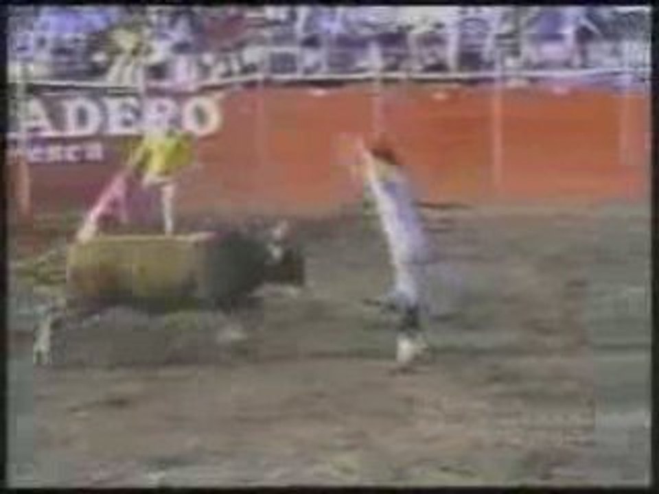 Regis le Cowboy