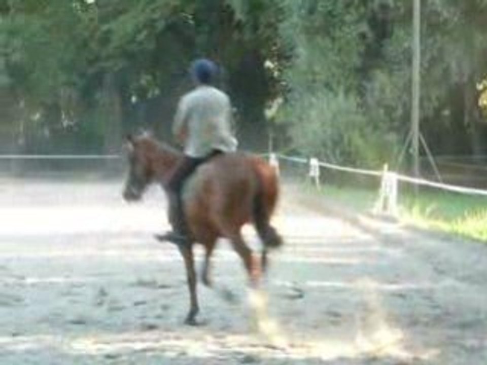 ANNE-CATHERINE EQUITATION BUSNES2