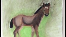 SERDAR ŞİMŞEK KURU PASTEL BOYA TAY ÇALIŞMASI