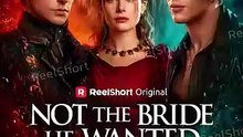 Not the Bride He Wanted   She Married the King Meant for Her Sister