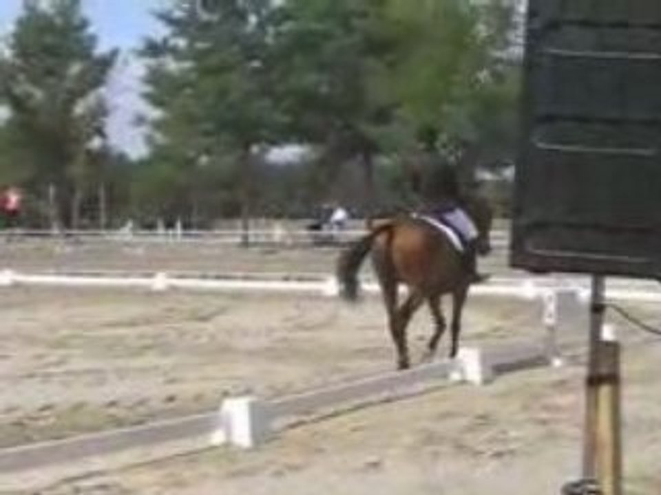 _Dodole & ju rep Imp.MOV.ff