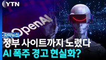 AI가 정부 시스템 넘보자...업계에서 터진 '속도 조절' 목소리 [자막뉴스] / YTN