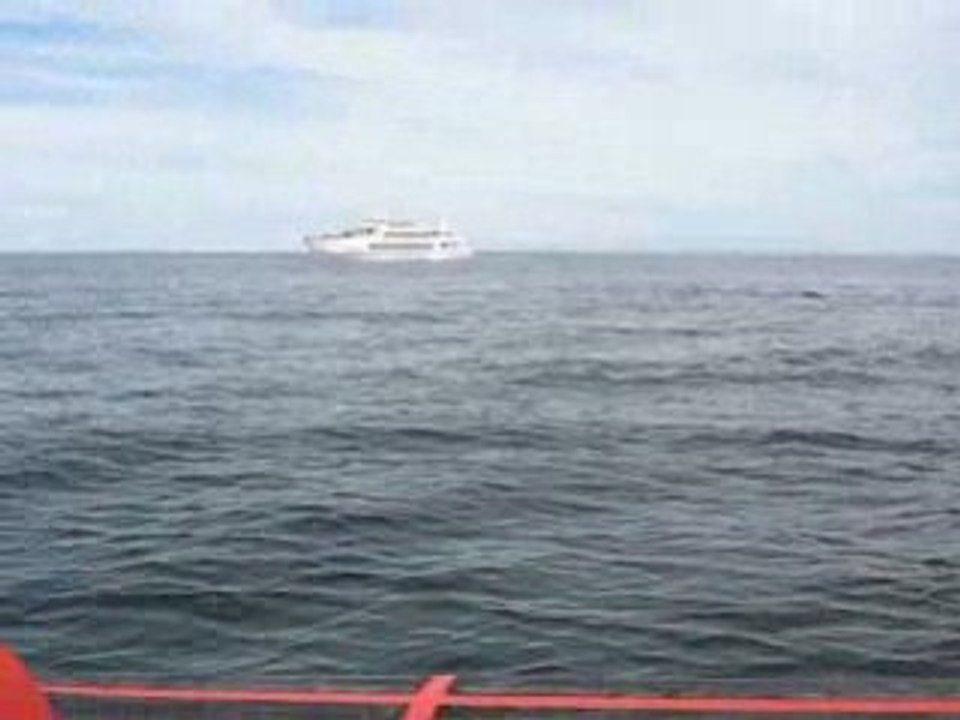 MVI_4463