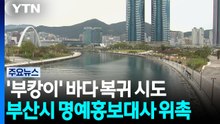 상어 '부캉이' 바다로 복귀 시도..."무사히 잘 가렴!" / YTN