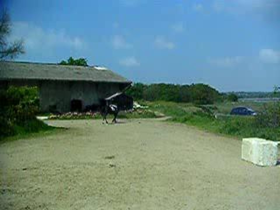 PICT0241