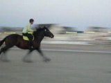 balade à cheval sur la plage