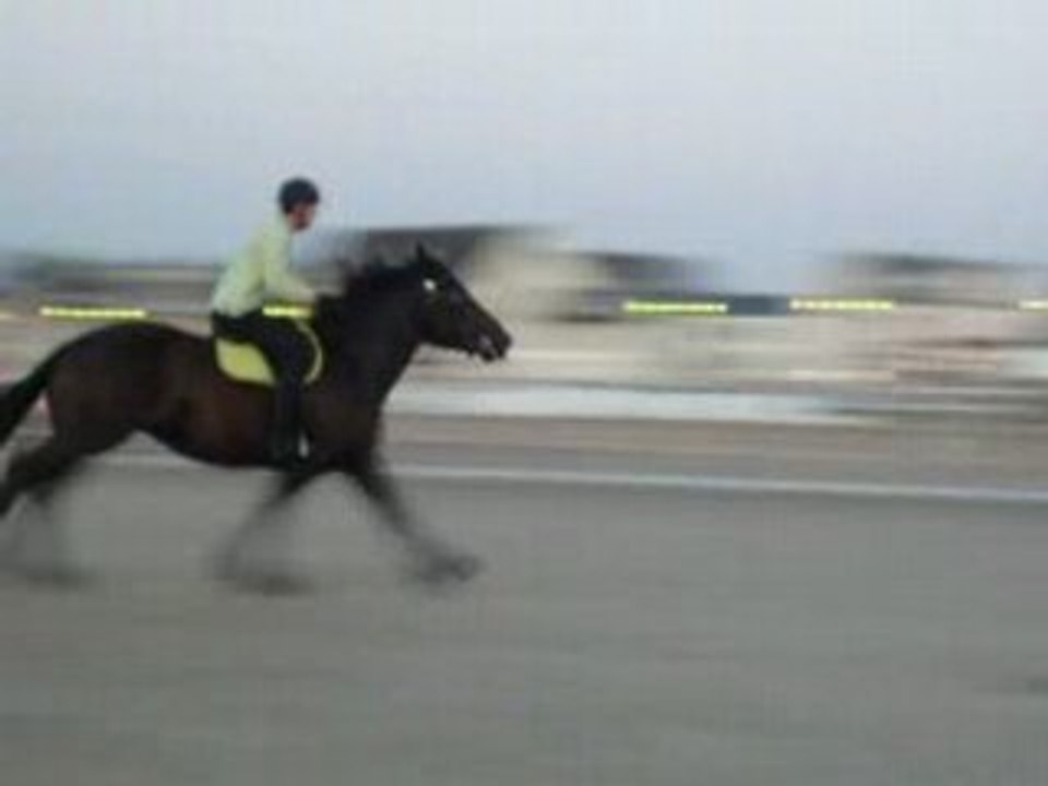 balade à cheval sur la plage