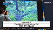 “괜찮아? 뛰어든 순간 또 쾅”…드러나는 ‘DMZ 폭발’ 진실