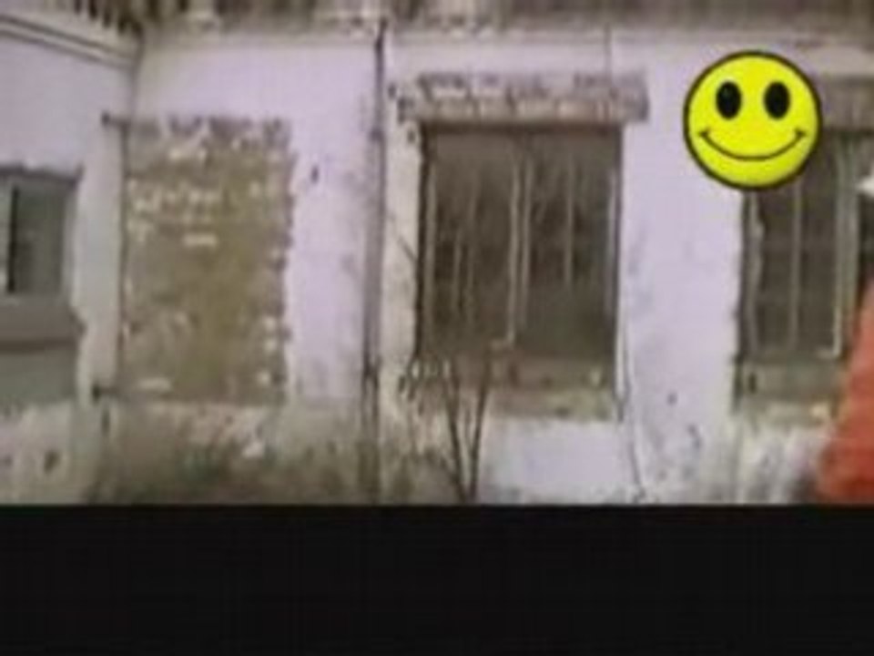 Bricoleur du dimanche