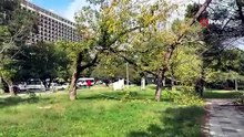 Meteoroloji uyarmıştı! İstanbul’da sağanak sonrası ağaçlar devrildi, rögarlar taştı