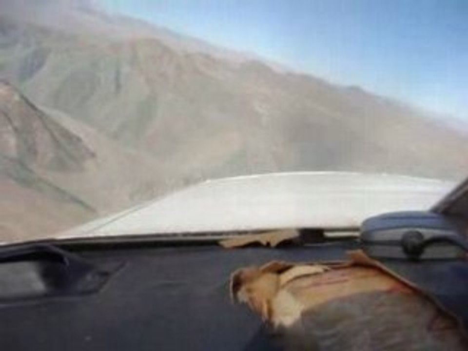 Metal flying pro