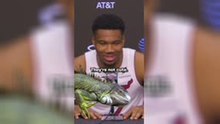 'They're SCARY!' - Giannis terrified of iguanas