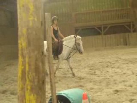 Dressage reprise galop 4-5