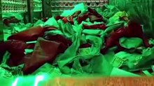 Zarih Mubarak Hazrat Abbas (A.S) | Roze Ke Andar Ka Noorani Manzar | Exclusive Karbala Inside View