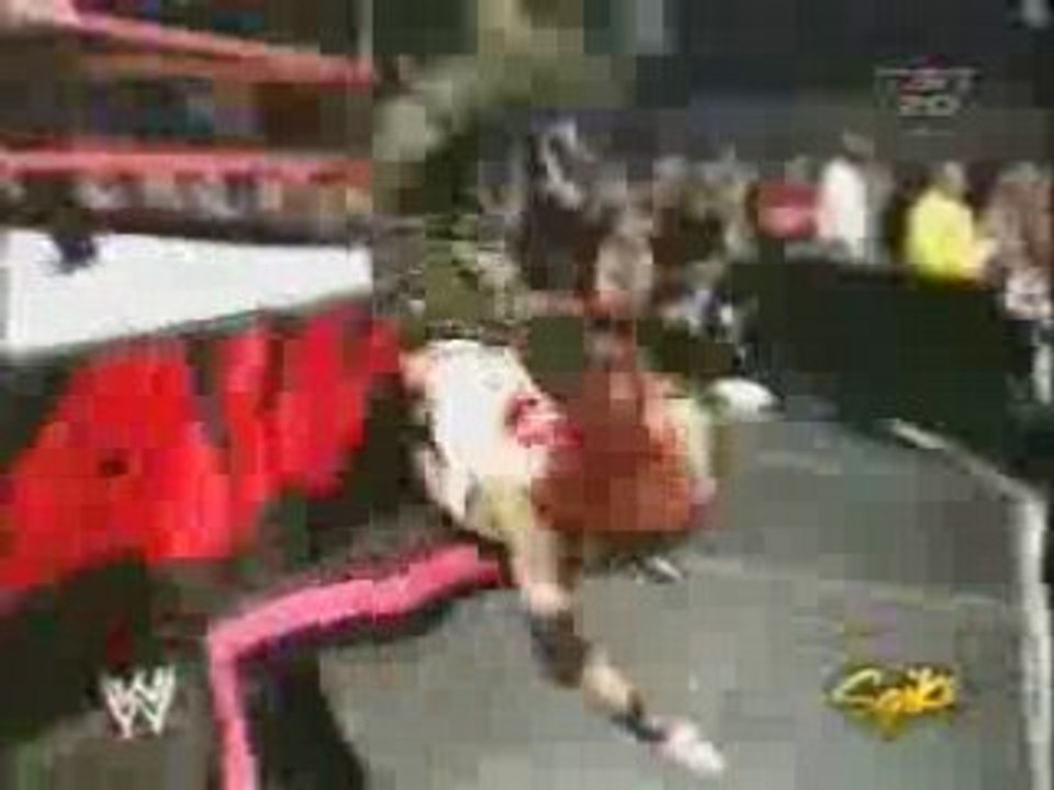 Wwe -  litadies (1)