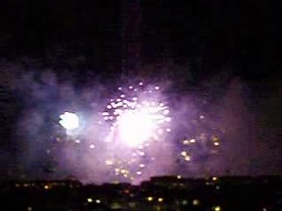 Viva les Fêtes de Genève 2008