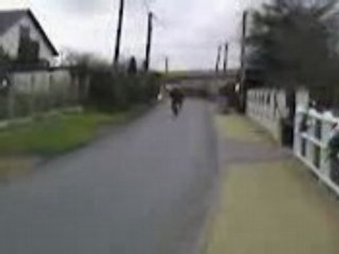 Weeling david en mob