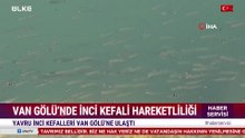 Haber Servisi - 28 Eylül 2026