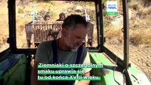 Ziemniaki z Naksos: zagrożona wielowiekowa tradycyjna uprawa