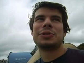 vieilles charrues 2008