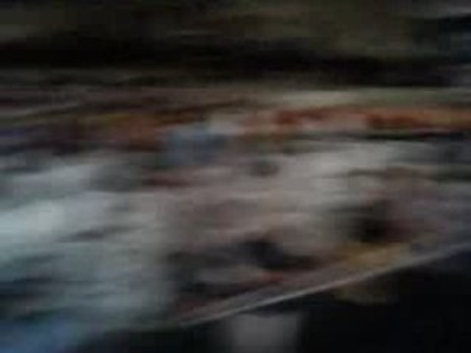 Sean paul in tunisia ; virage taraji