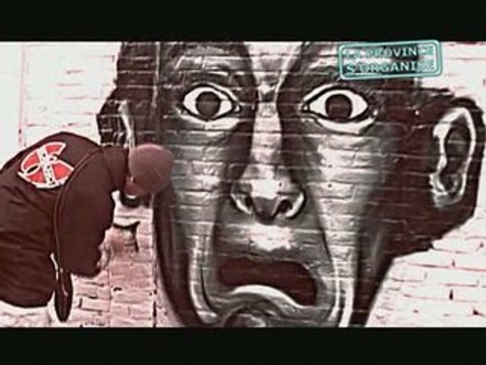interview Kzed crew AXDK graffiti