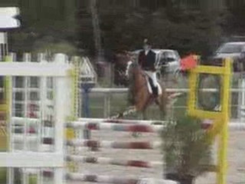 CCE CLUNY 2 août 2008 - Epreuve du CSO - AMATEUR 1