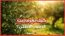 كيف تعرف البكر الأصلي من المغشوش؟.. شاهد مراحل استخراج زيت الزيتون في الإسماعيلية
