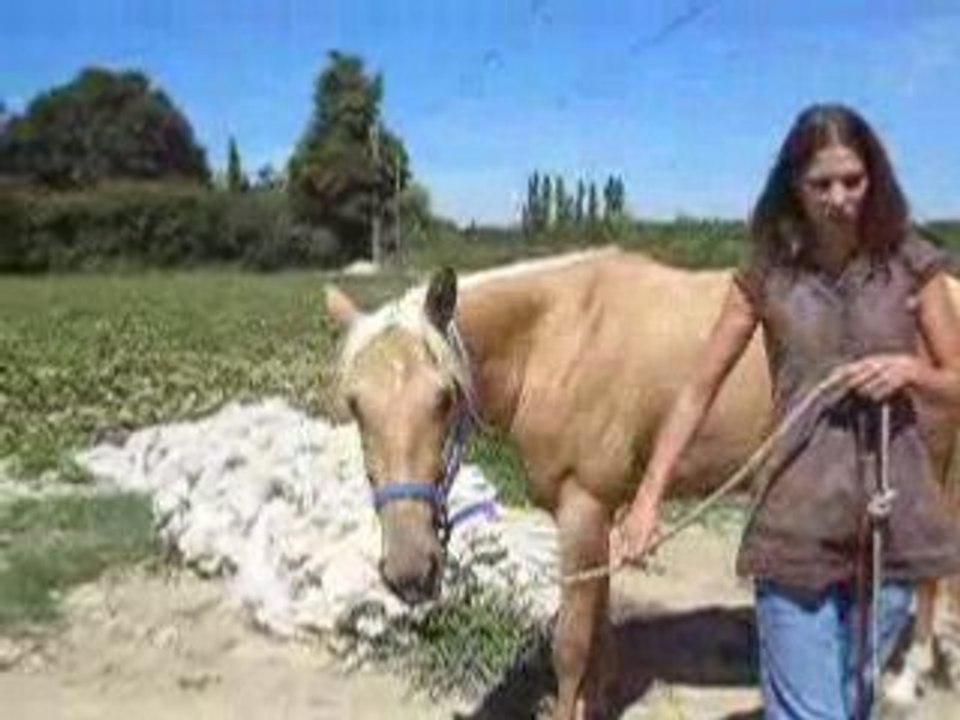 Poulichette en balade 2