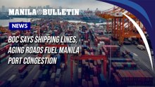 BOC says shipping lines, aging roads fuel Manila port congestion