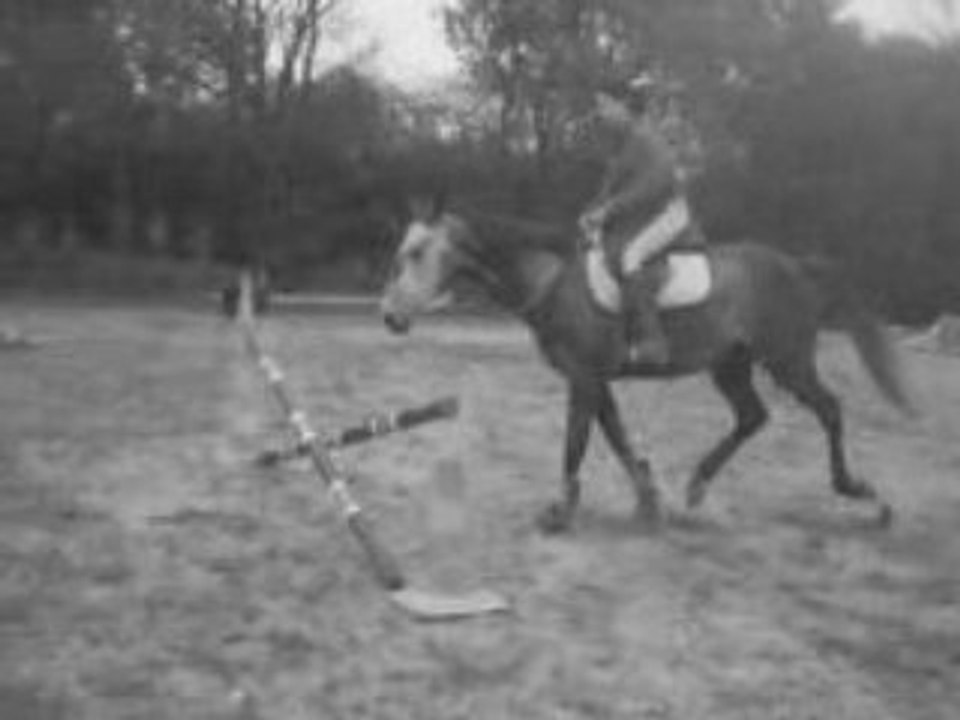 Onyx & moi ...