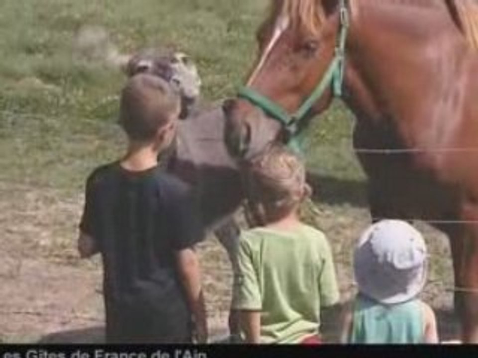 Les Gites de France de l'Ain