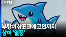 상어 '부캉이' 열풍...상표권 출원에 밈코인도 등장 / YTN